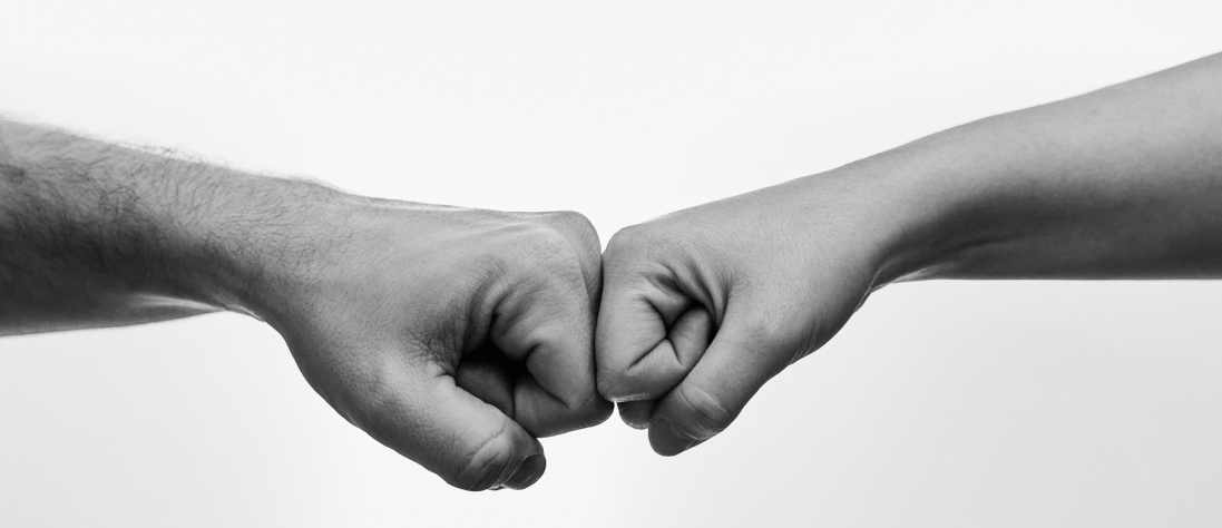 EL BRAZO LARGO DE LA DICTADURA MEDIDAS DE PROTECCIÓN